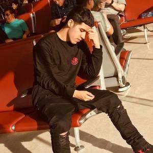 Meet your Posher, Leonardo